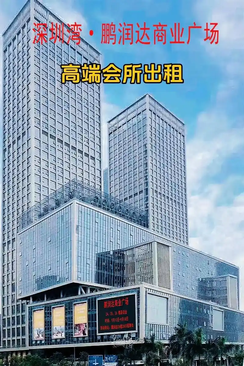上海品茶茶艺师一对一服务流程中，茶艺师正在为客人斟茶，私密茶室环境温馨安静